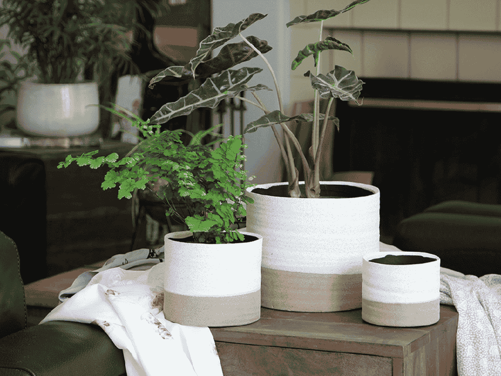 [IP-J11001IVS-D-C8] JEWEL MUG PLANTER, IVORY SPECKLE, 4.5" X 4.0", SOLD IN CASE OF 8