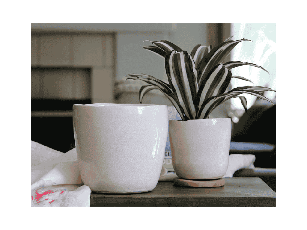 [IP-J16240IVC-B-C6] JEWEL FREEFORM PLANTER, IVORY CRACKLE, 4.5" X 4.5" X 4.5", SOLD IN CASE OF 6