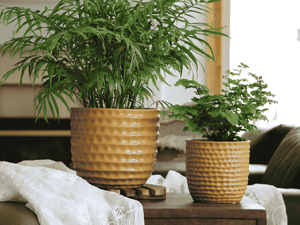 [IP-MC2028MST-C4] HONEYCOMB PLANTER, MUSTARD, 9"x8.5" SOLD IN CASE OF 4