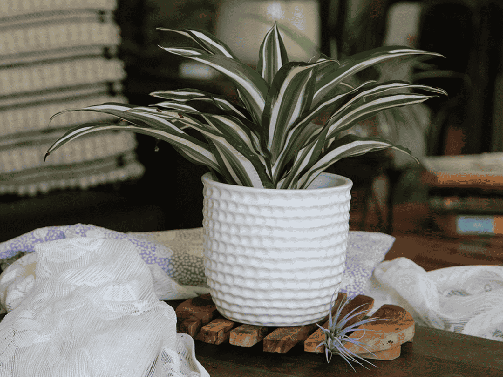 [IP-MC2028MWH-C4] HONEYCOMB PLANTER, MATTE WHITE, 9"x8.5" SOLD IN CASE OF 4