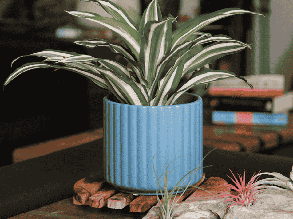 [IP-MC2037DNM-C4] BRUSH COMB PLANTER, DENIM, 8"x8" SOLD IN CASE OF 4