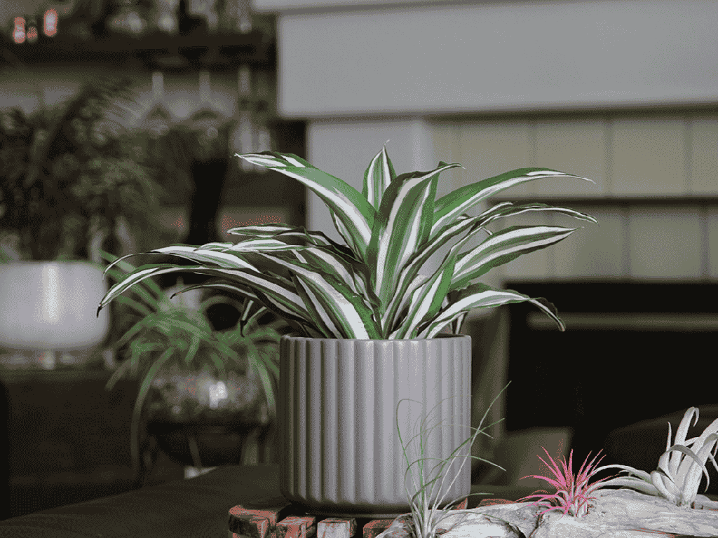 [IP-MC2037SGY-C4] BRUSH COMB PLANTER, SPACE-GREY, 8"x8" SOLD IN CASE OF 4