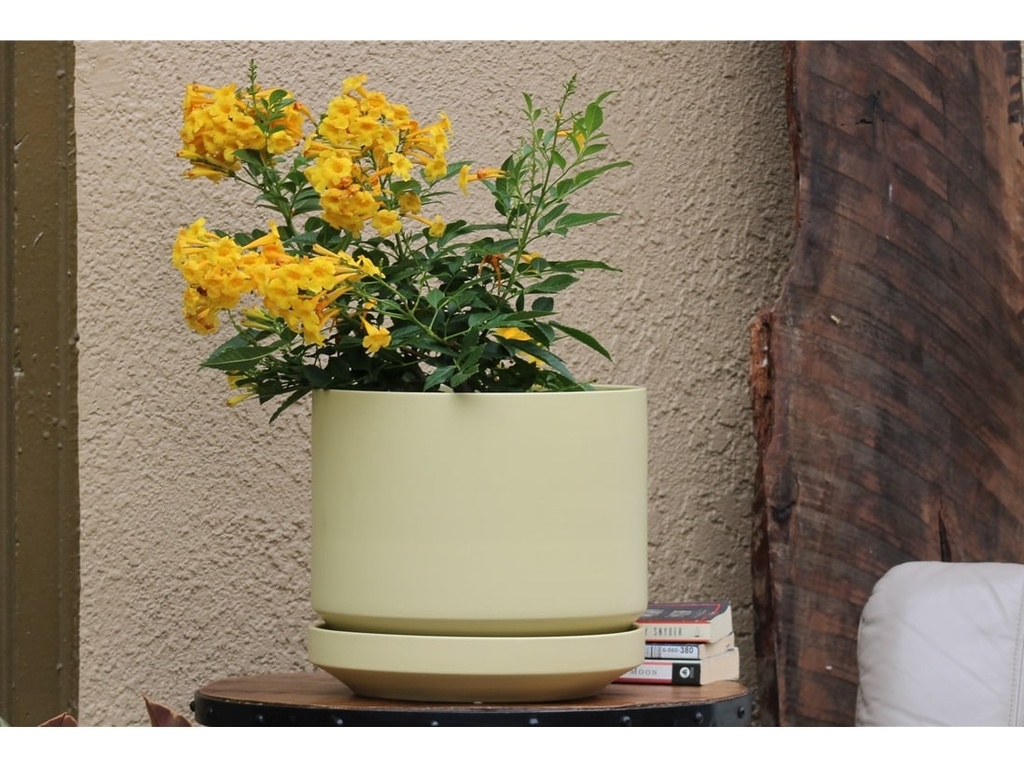 [IP-MD2059AFL] MELROSE M-MODERN PLANTER, ANISE FLOWER, 12.0"x12.0"