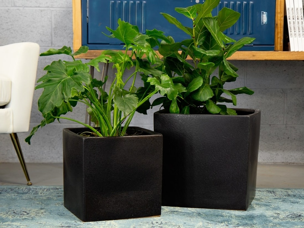 [PC-3504SBL-S2] SQUARED OLIVE TREE PLANTER, STEEL BLACK, SET OF 2- 14.0"X14.0", 12.0"X12.0"