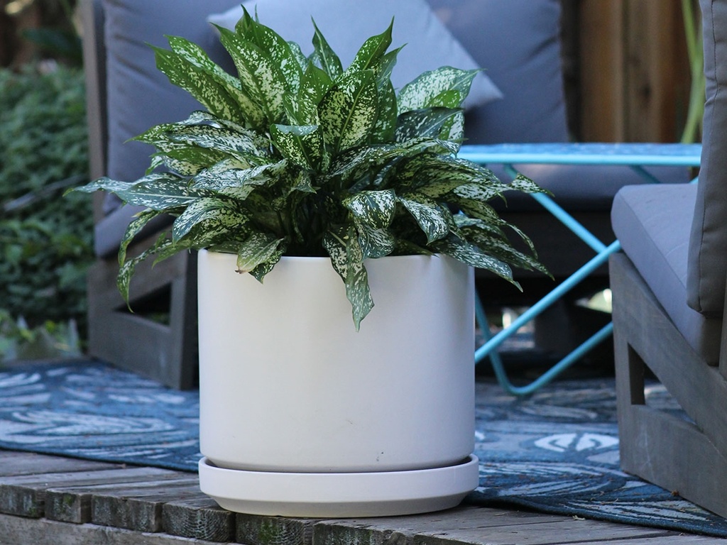 [PC-D3250CWH-B] MID MODERN PLANTER WITH DETACHED SAUCER, CLOUD WHITE, 14.0"X12.0", 14.0"X2.5"