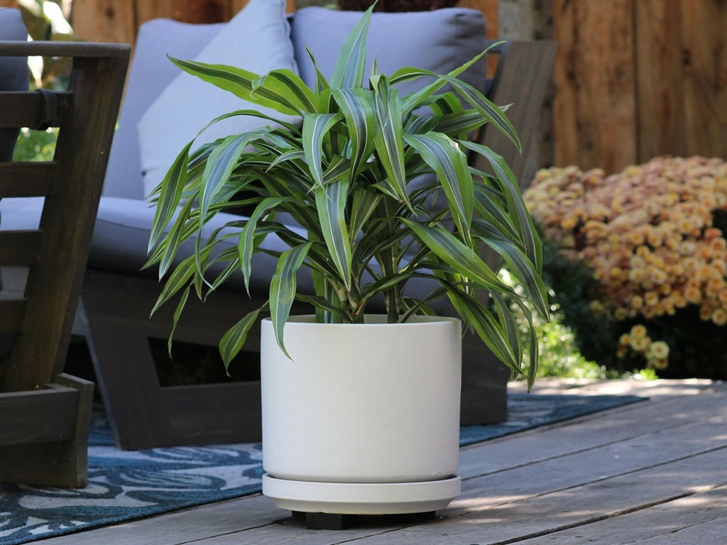 [PC-D3250CWH-D] MID MODERN PLANTER WITH DETACHED SAUCER, CLOUD WHITE, 10.0"X9.0", 10.0"X2.0"