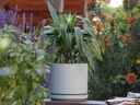 MID MODERN PLANTER WITH DETACHED SAUCER,  TEAL GREEN, 14.0"X12.0", 14.0"X2.5"