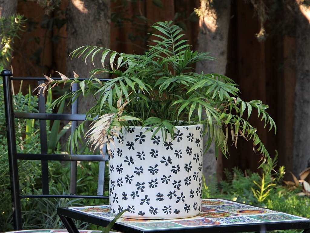 [PD-A5006BPS-A] CYLINDER STAMPED FLORAL PLANTER, BLACK PANSY, 12"X11.5"