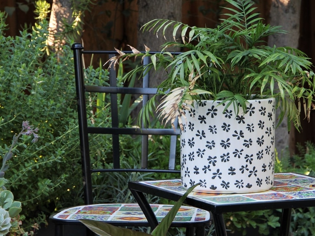 [PD-A5006BPS-C-C4] CYLINDER STAMPED FLORAL PLANTER, BLACK PANSY, 8.0"X8.0", SOLD IN CASE OF 4