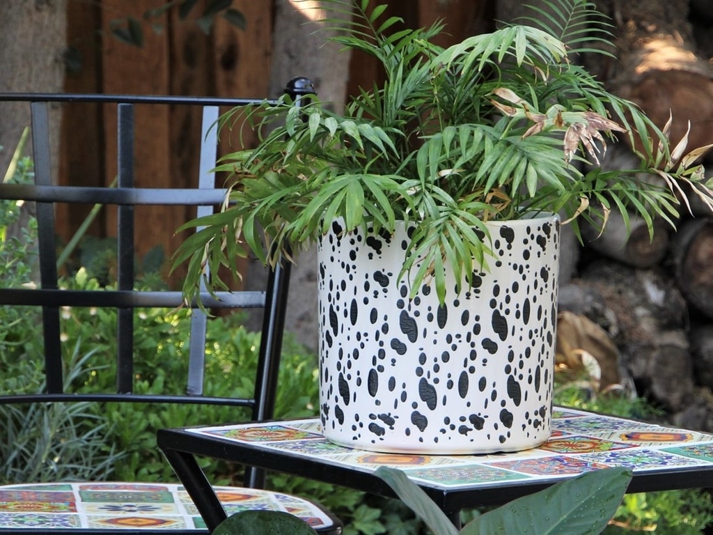 [PD-A5006DMT-B-C2] CYLINDER STAMPED FLORAL PLANTER, DALMATION, 9.5"X9.5", SOLD IN CASE OF 2