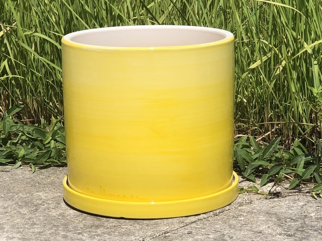 [PD-A5006OMY-B-C2] EASTER LILY WITH W/ SAUCER, OMBRE YELLOW, 9.5"X9.5", SOLD IN CASE OF 2