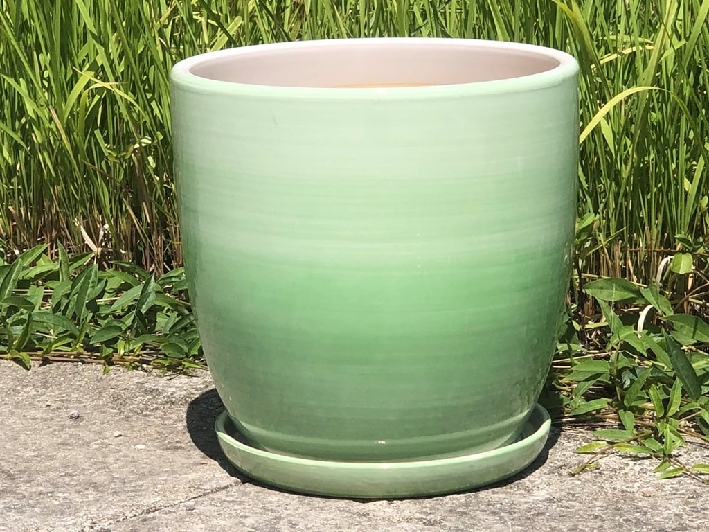 [PD-A5007OMG-B-C2] DAFFODIL PLANTER W/ SAUCER, OMBRE GREEN, 9.5"X9.5", SOLD IN CASE OF 2