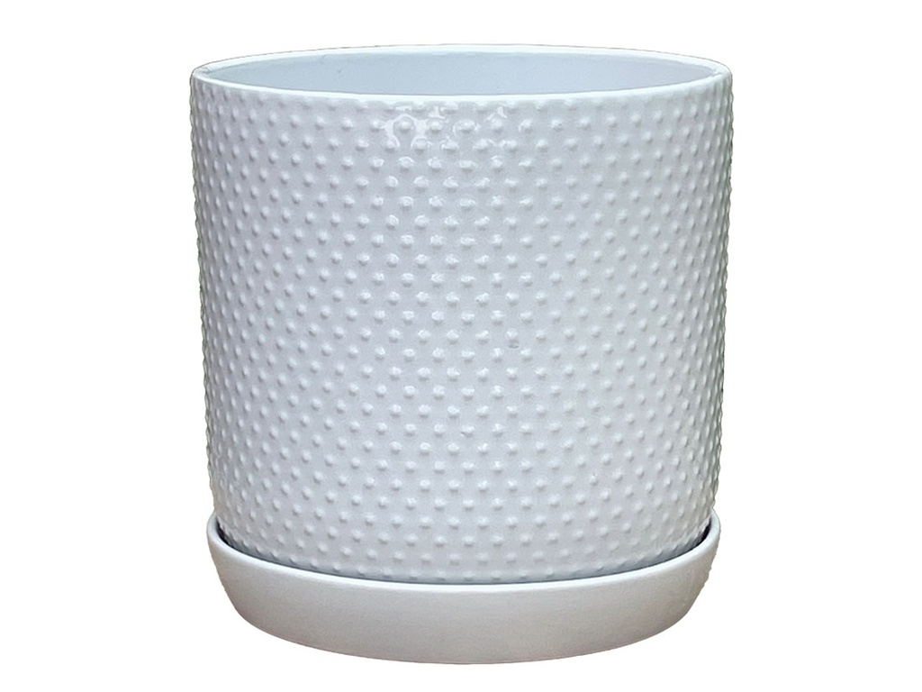 [PD-I6088BWH-B-C4] DOTTED CYLINDER PLANTER WITH ATTACHED SAUCER, BRIGHT WHITE, 9.0"x 9.5", SOLD IN CASE OF 4