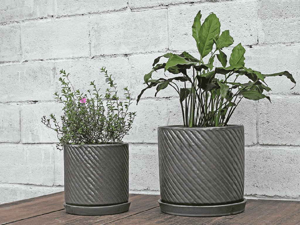 [PV-CGA8252MBK-C] ASTER NOIR PLANTER W/ ATTACHED SAUCER, MATTE BLACK, 10.0"X10.0"