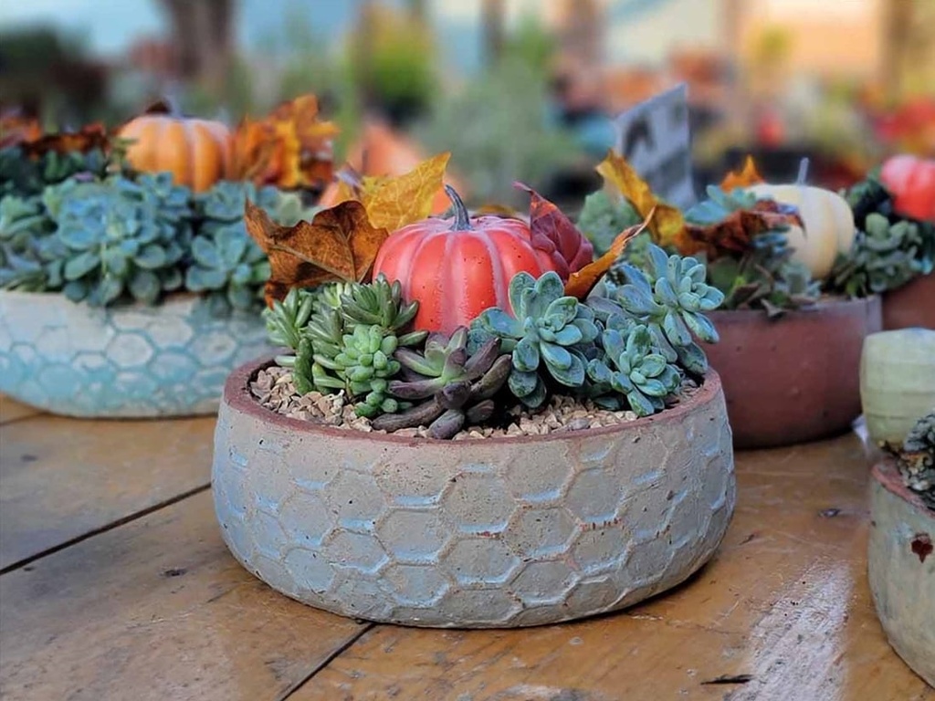 [PV-TST2625HWH-S4] TUSCAN VILLAGE HAND THROWN HEXAGON BOWLS, HEIRLOOM WHITE, SET OF 4 - 12.5" X 4.5", 10.0" X 3.5", 8.0" X 3.0", 6.5" X 2.5"