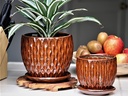OAK WOOD FLOWER POT WITH ATTACHED SAUCER, SIZE B, SODONA, 5.5" x 5.25" (SOLD IN CASE OF 6)