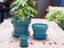 STANDARD POTS, SIZE C, JADE, 5" X4.5", ATTACHED SAUCER (SOLD IN CASE OF 6)