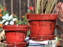 STANDARD POTS, SIZE A, TROPICAL RED, 8" X6.5", ATTACHED SAUCER (SOLD IN CASE OF 4)