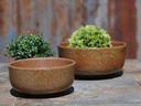 SUCCULENT BOWL, RAKU CLAY, SET OF 2 - 7.0" X 3.5", 6.0" X 3.0" (SELL BY CASE OF 2)