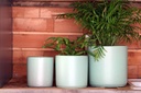 BEGONIA PLANTER,MINT GREEN ,SET OF 3 - 8.5"X8.5",6.5"X6.5",5.5X5.5,