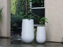 TALL TRUNK PLANTER, PURE WHITE, SET OF 2-  21.5"X39.5", 15.5"X27.5"