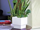 ART DÉCOR SQUARE PLANTER, BLANK WHITE, 6.5"X6.5" SOLD IN CASE OF 6