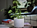 ART DÉCOR HONEY COMB PLANTER, BLANK WHITE, 4.5"X3.5" SOLD IN CASE OF 12