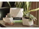 GEOMETRY PENTAGON PLANTER, POLISHED CONCRETE, 3.5"x2", SOLD IN CASE OF 18