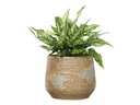 ROUND HAND FORMED PLANTER, BROWN STONE RUST, 9.5"X8.0", SOLD IN CASE OF 2