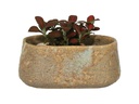 OVAL HAND FORMED PLANTER, BROWN STONE RUST, 8.5'x4.5'x4'SOLD IN CASE OF 4