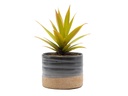 JEWEL MUG PLANTER, NATURAL BLUE, 6.0" X 5.0", SOLD IN CASE OF 6