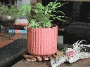 BRUSH COMB PLANTER, HIBISCUS, 6.5"x6.5" SOLD IN CASE OF 6