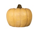CLAY PUMPKIN,BEIGE, 16.0"X13.0"