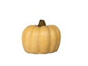 CLAY PUMPKIN,BEIGE, 11.0"X9.0"