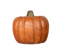 CLAY PUMPKIN,CLASSIC, 13.0"X11.0"
