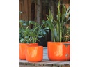 LYNX PLANTER, APRICOT BRIGHT, SET OF 3- 16.0"X12.0", 13.0"X10.0", 10.0"X9.0"