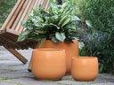 DAHLIA PLANTER, SEDONA, SET OF 3- 15"X12.5", 12"X11", 10"X8"