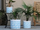 FERN PLANTER, LEAF BLUE, SET OF 3- 15.0"X13.5", 12.0"X12.0", 10.0"X9.0"