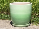 DAFFODIL PLANTER W/ SAUCER, OMBRE GREEN, 8.0"X8.0", SOLD IN CASE OF 4