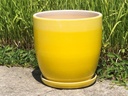 DAFFODIL PLANTER W/ SAUCER, OMBRE YELLOW, 9.5"X9.5", SOLD IN CASE OF 2
