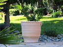 GLASTRA PLANTER, 15.5"x15.5'