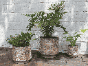 UMBROSA PLANTER, LIGHT MOCHA, SET OF 3- 15.5" X 14.0", 12.0" X 11.0", 8.5" X 8..5"
