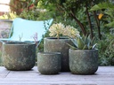 NORMA PLANTER CORAL GEM GREEN, SET OF 4-20.5"X16.5", 16.0"X14.0", 13.0"X12.0", 10.0"X9.5"
