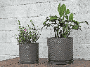 ASTER NOIR PLANTER W/ ATTACHED SAUCER, MATTE BLACK, 10.0"X10.0"