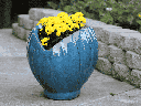 CONE SHELL PLANTER, FALLING AQUA, 15.5" X 19.0" X 16.5"